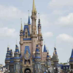 Disney World Magic Kingdom Castle