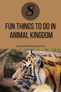 Animal kingdom