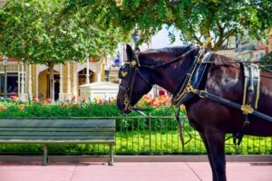 Extra Adventures You Can Have In Disney World's Magic Kingdom